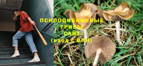 каннабис Вяземский